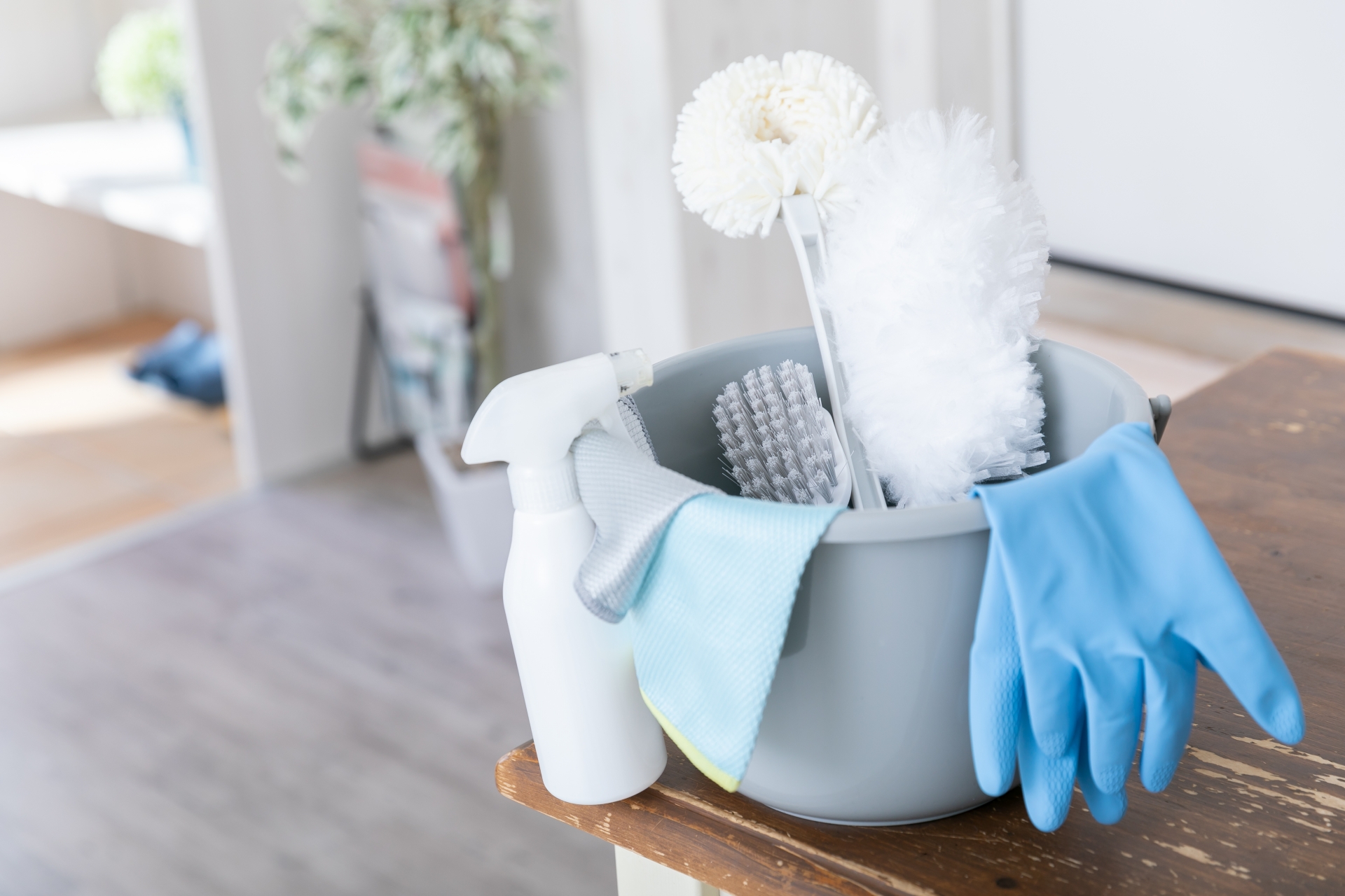 定期清掃・その他清掃業務